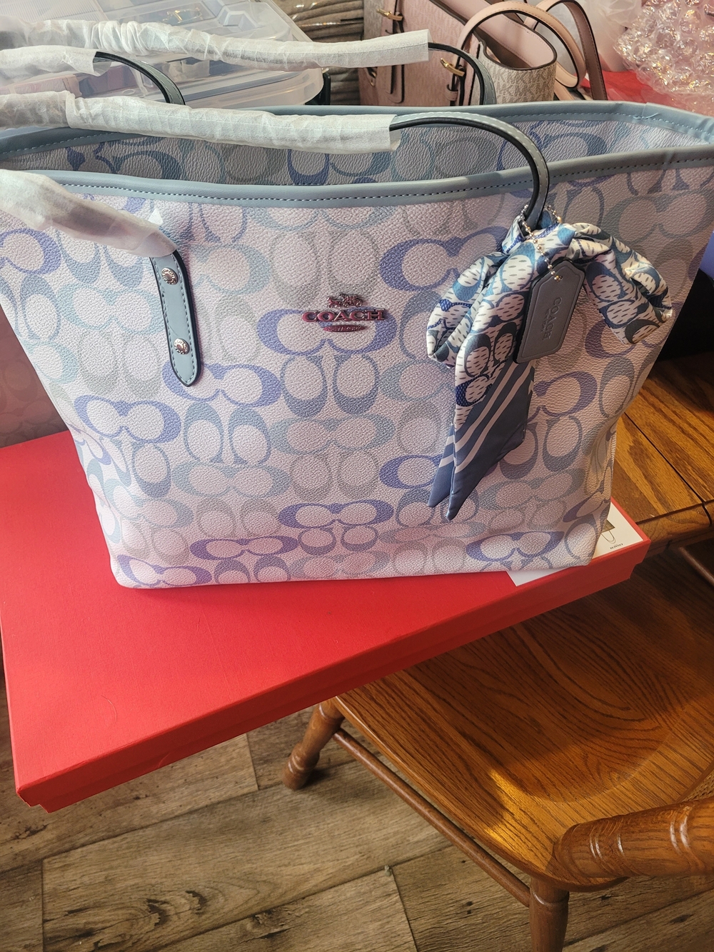 Coach Signature Tote in Light Blue